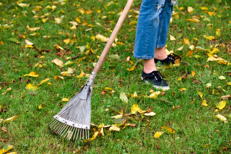 Leaf Removal Tools
