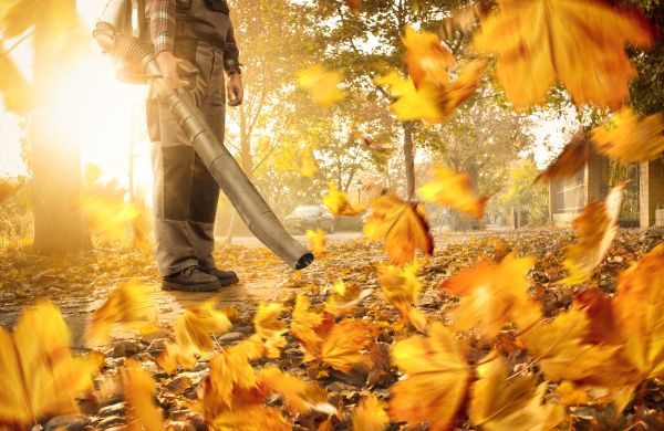 Leaf Blowing Service in Doylestown