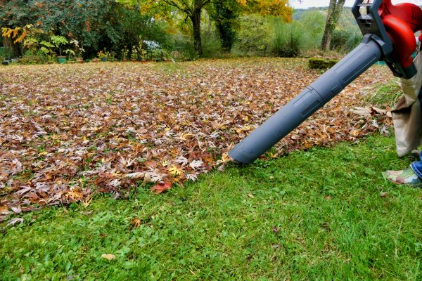 Leaf Vacuuming Service in Doylestown
