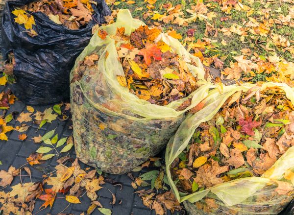 Yard Cleanup Service in Doylestown