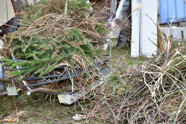 Yard Waste Removal Service in Doylestown