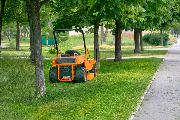 Landscaping Cleanup Service in Doylestown
