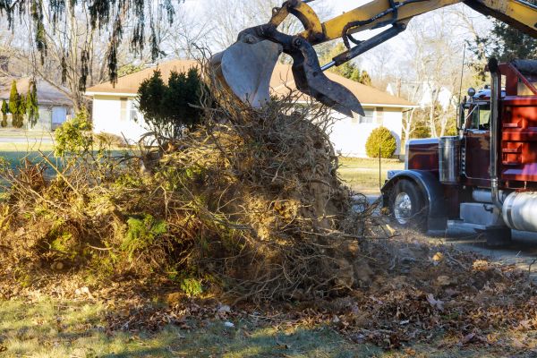 Storm Debris Removal in Doylestown