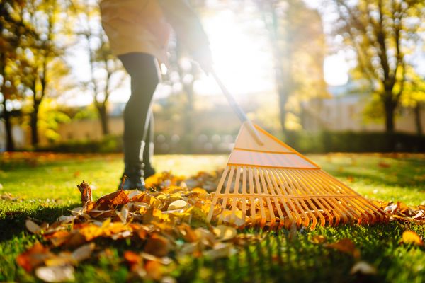 Leaves Raking in Doylestown
