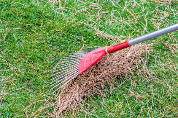 Yard Raking in Doylestown