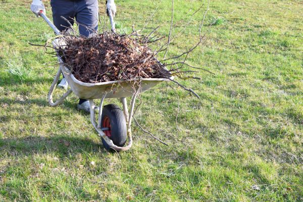 Yard Brush Removal in Doylestown