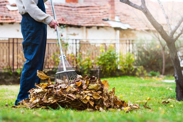 Spring Lawn Cleanup in Doylestown