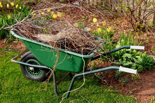 Lawn Waste Removal in Doylestown