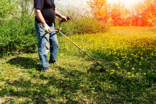 Yard Clearing Service in Doylestown