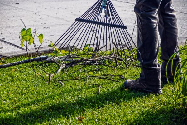 Yard Debris Cleanup in Doylestown