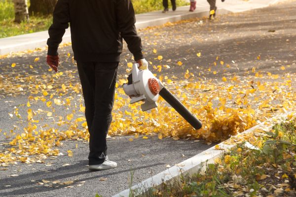 Commercial Leaf Removal in Doylestown